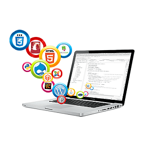 企業電腦素材與計算機軟件開發服務 數字化轉型的雙引擎